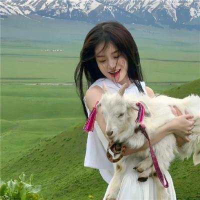 机飞总动员2